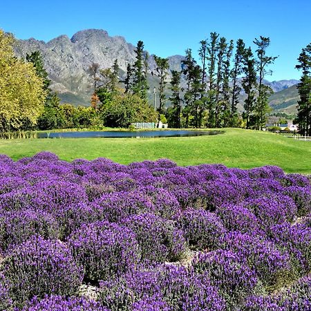 Lavender Farm Guest House Franschhoek Zewnętrze zdjęcie