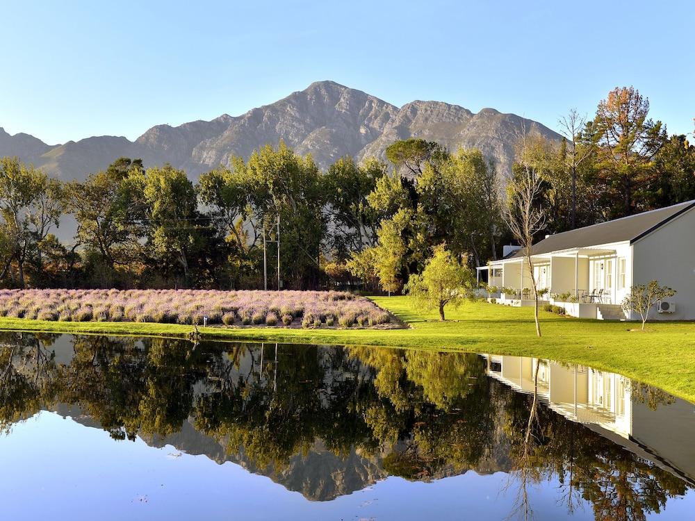 Lavender Farm Guest House Franschhoek Zewnętrze zdjęcie