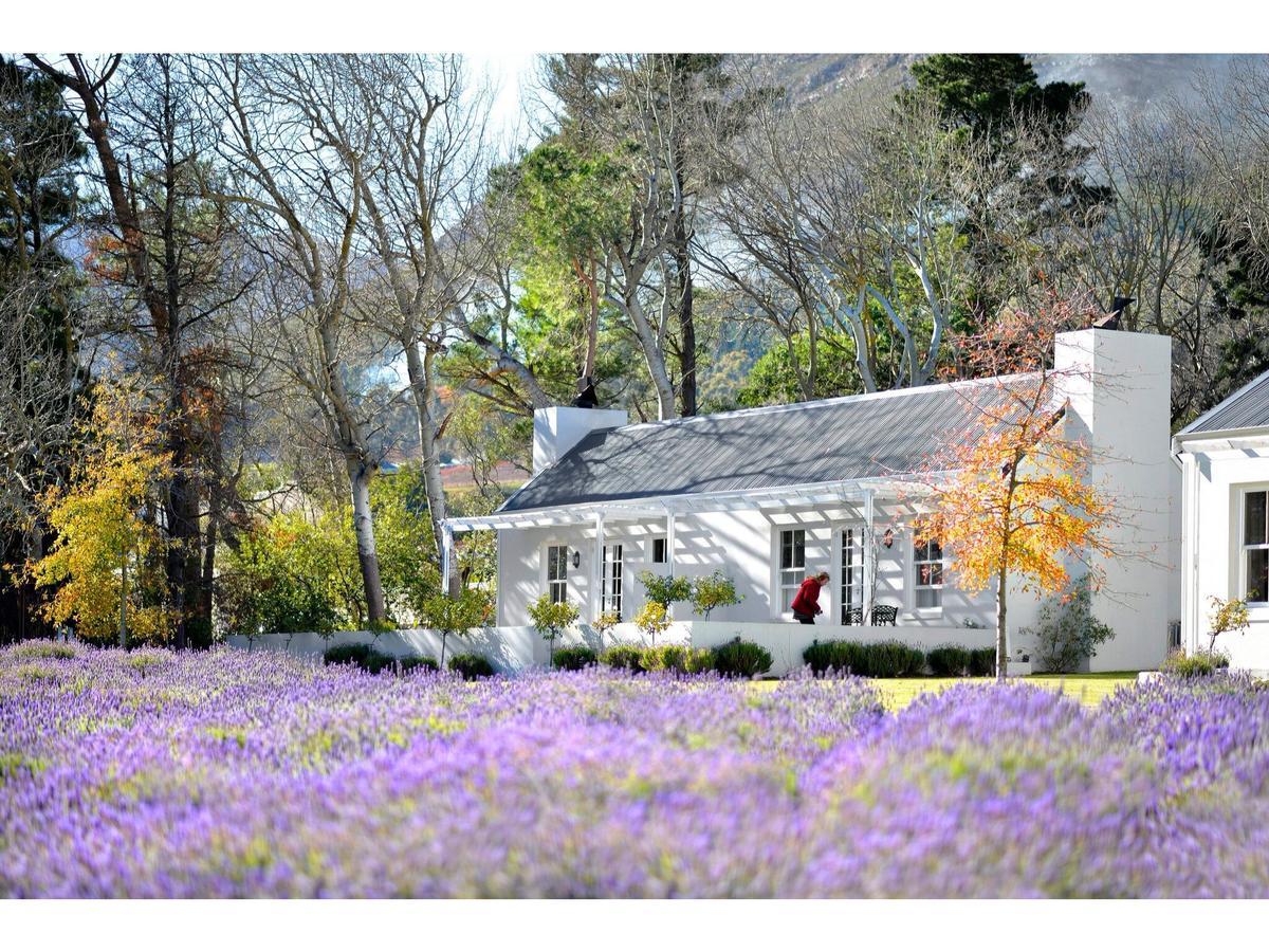 Lavender Farm Guest House Franschhoek Zewnętrze zdjęcie