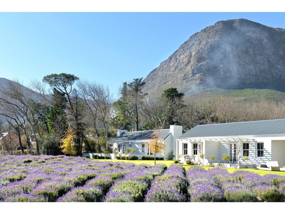 Lavender Farm Guest House Franschhoek Zewnętrze zdjęcie