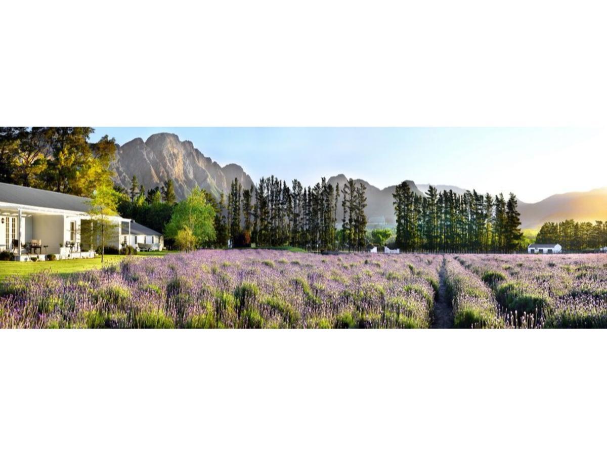 Lavender Farm Guest House Franschhoek Zewnętrze zdjęcie