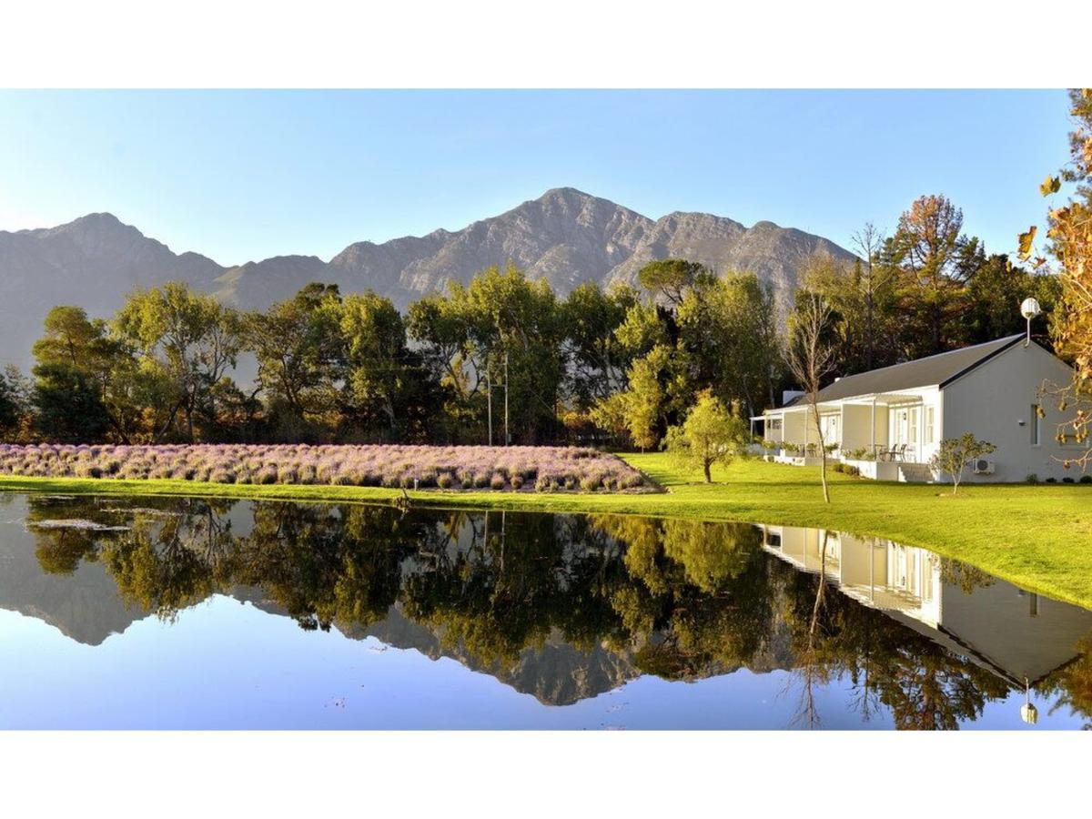 Lavender Farm Guest House Franschhoek Zewnętrze zdjęcie