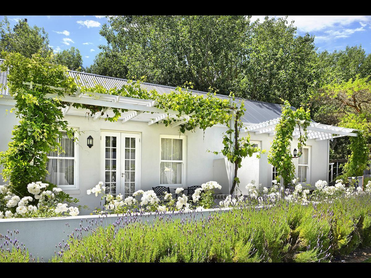 Lavender Farm Guest House Franschhoek Zewnętrze zdjęcie