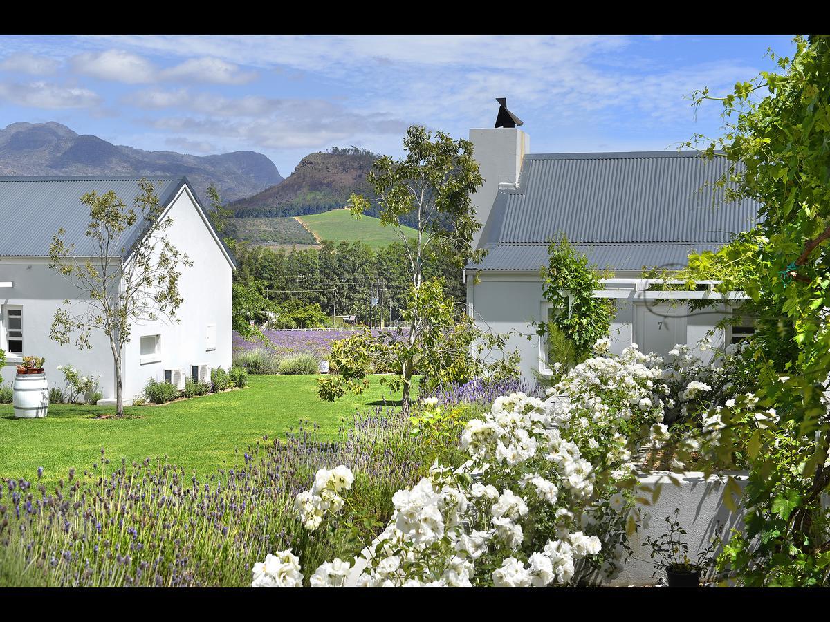 Lavender Farm Guest House Franschhoek Zewnętrze zdjęcie