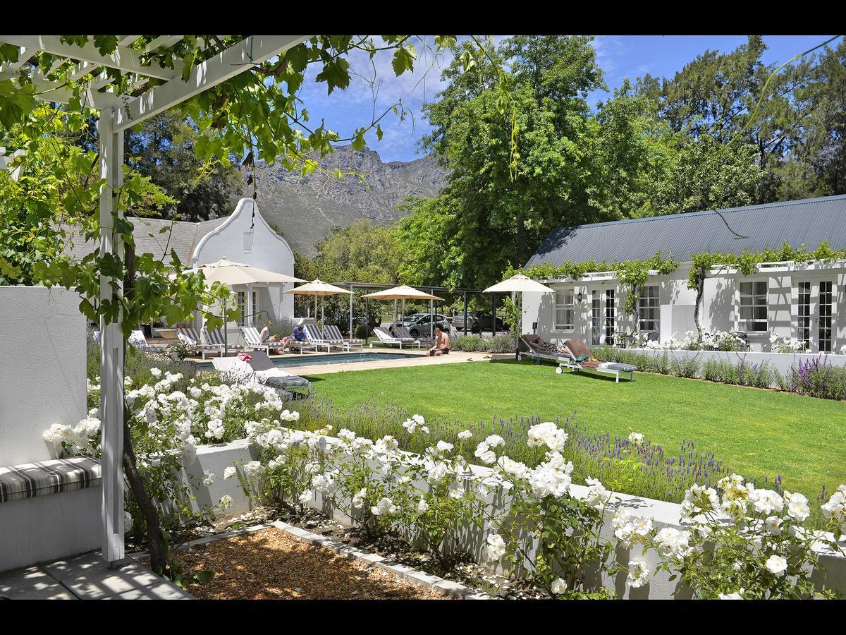 Lavender Farm Guest House Franschhoek Zewnętrze zdjęcie