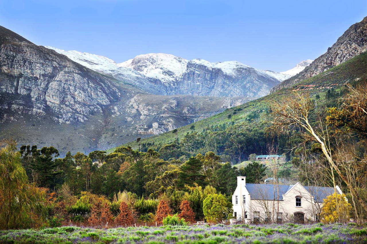 Lavender Farm Guest House Franschhoek Zewnętrze zdjęcie