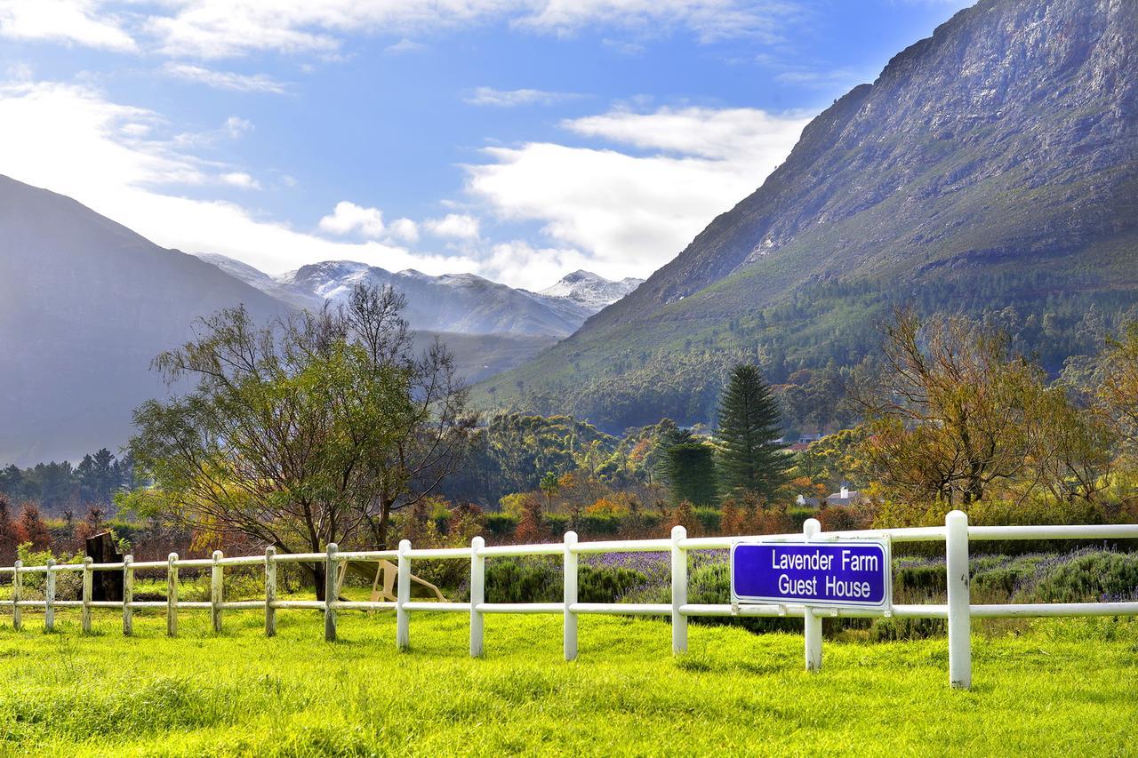 Lavender Farm Guest House Franschhoek Zewnętrze zdjęcie