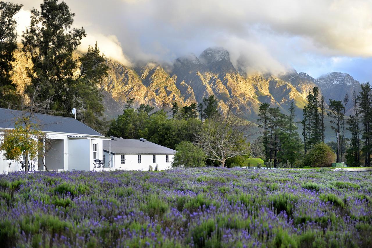 Lavender Farm Guest House Franschhoek Zewnętrze zdjęcie