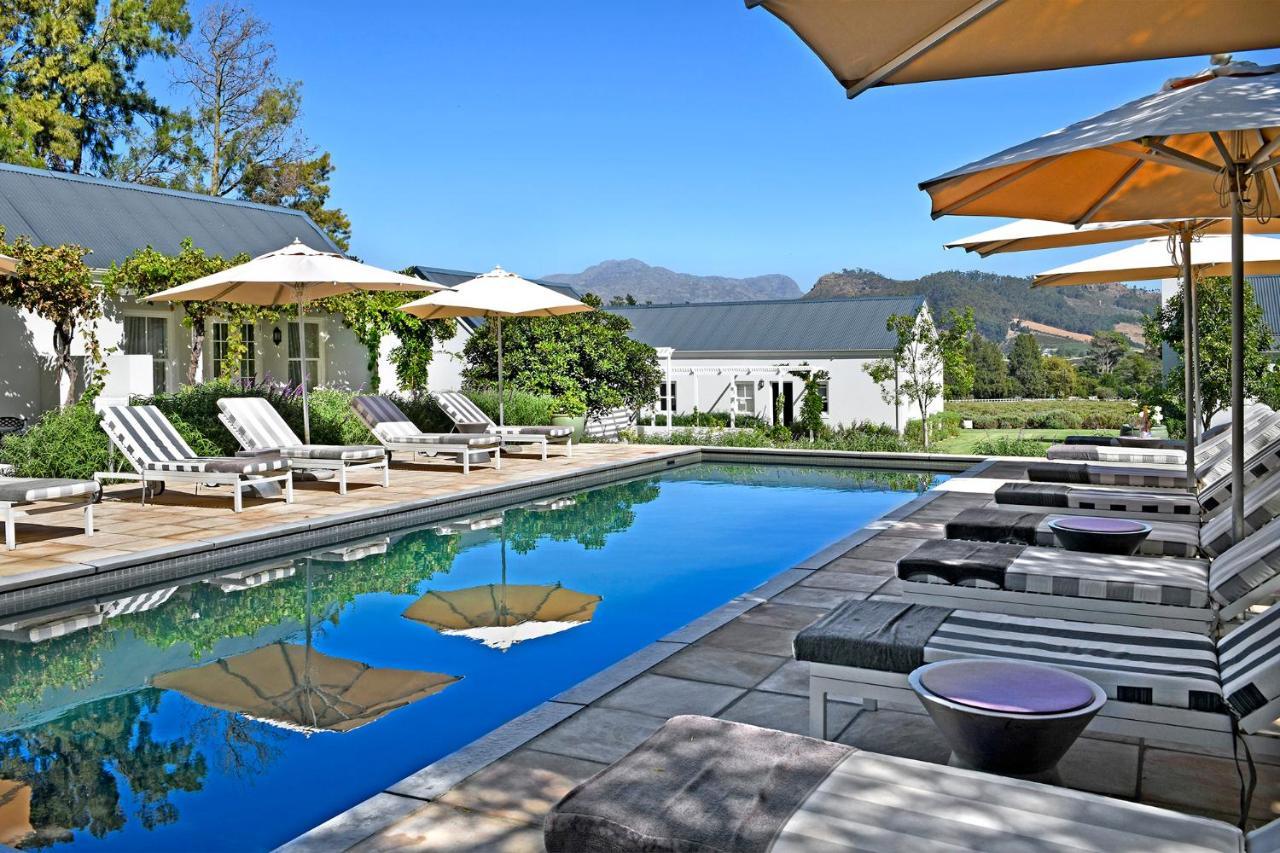 Lavender Farm Guest House Franschhoek Zewnętrze zdjęcie