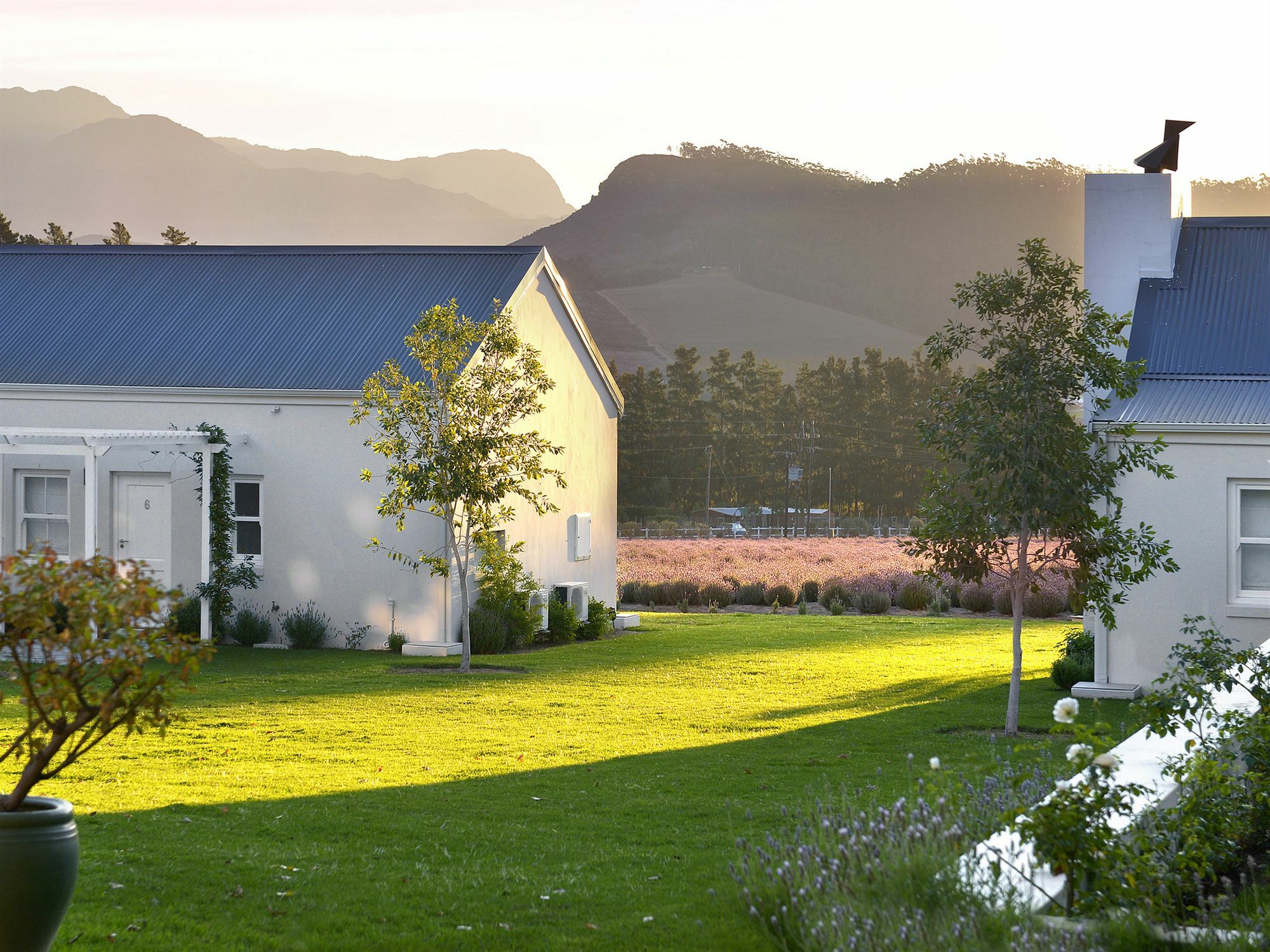 Lavender Farm Guest House Franschhoek Zewnętrze zdjęcie