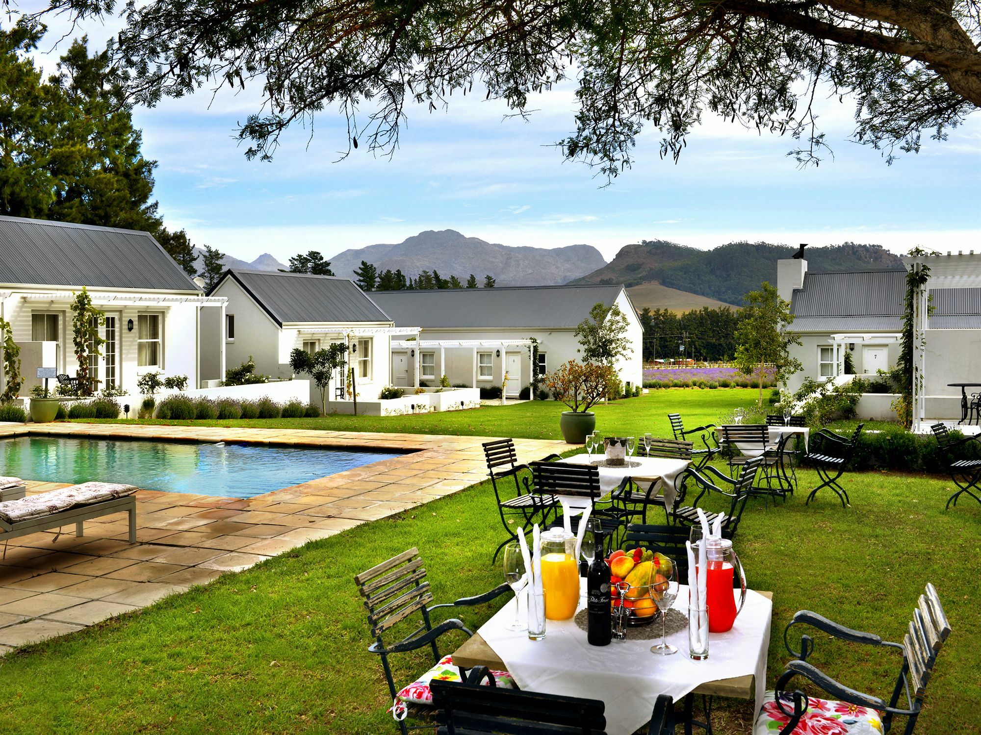 Lavender Farm Guest House Franschhoek Zewnętrze zdjęcie