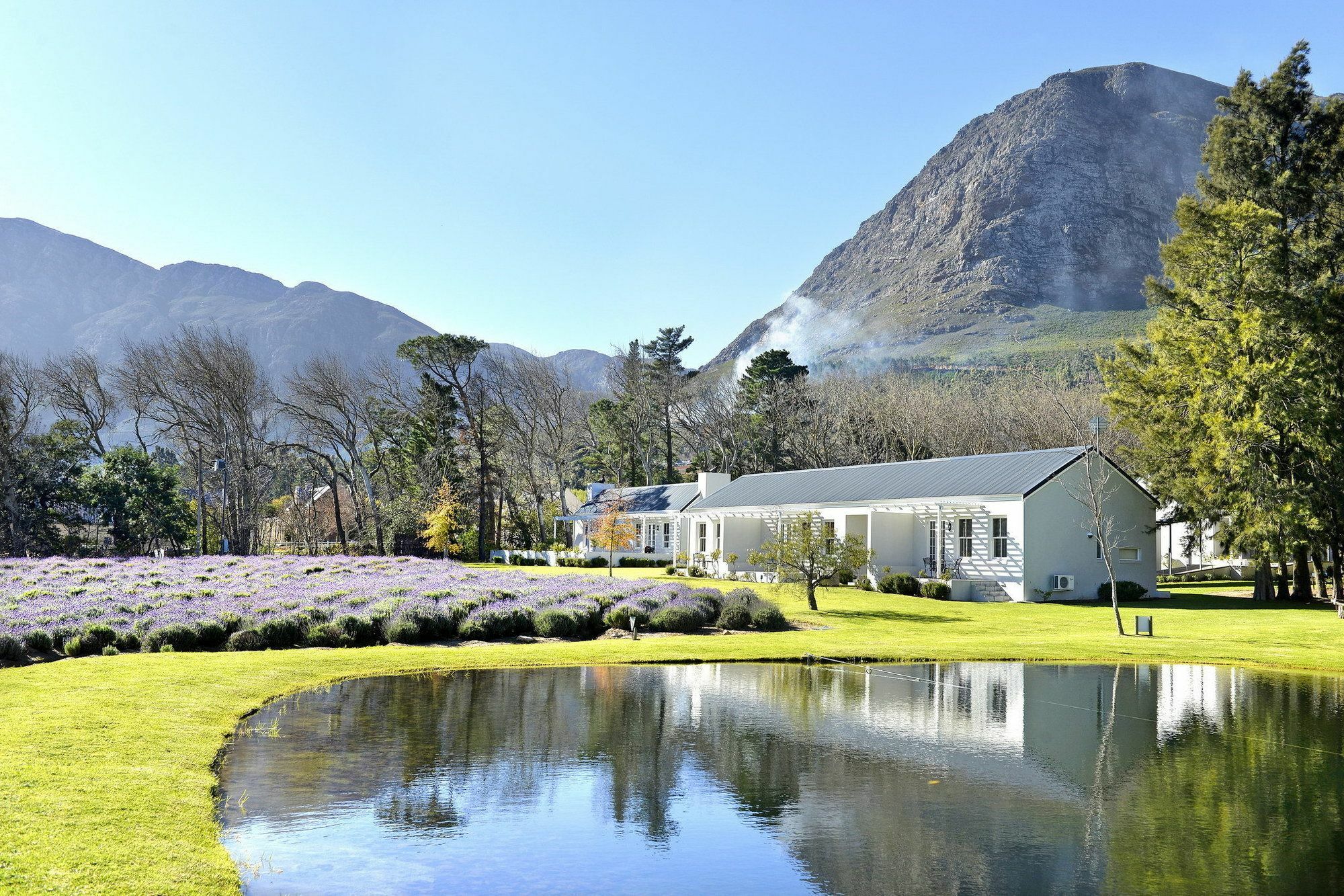 Lavender Farm Guest House Franschhoek Zewnętrze zdjęcie